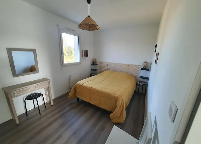 La Petite Salamandre Des Conches