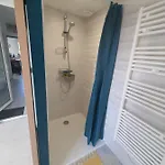 La Petite Salamandre Des Conches