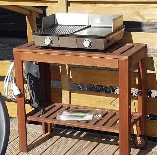 La Petite Salamandre Des Conches Longeville-sur-Mer